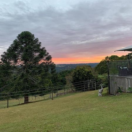Montville Holiday Apartments エクステリア 写真